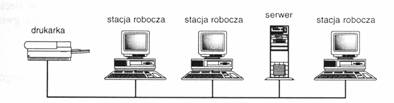 Rys.: Sie o topologii magistrali